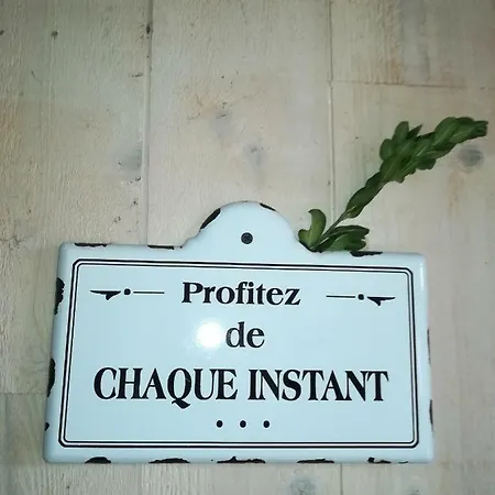 Le Logis D'argenson Bed & Breakfast Beaulieu-sous-Parthenay